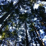 January Playlist
